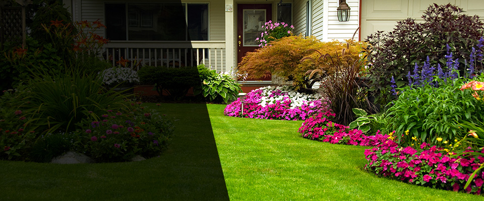 Halls Landscapers