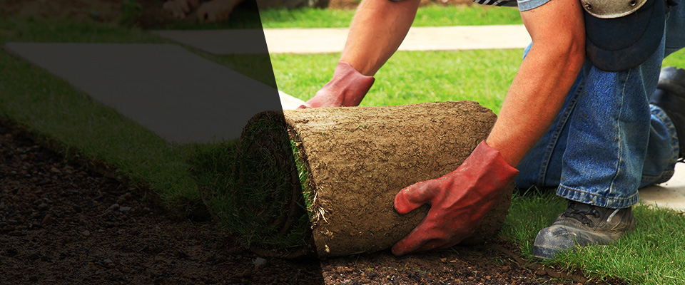 Halls Landscapers